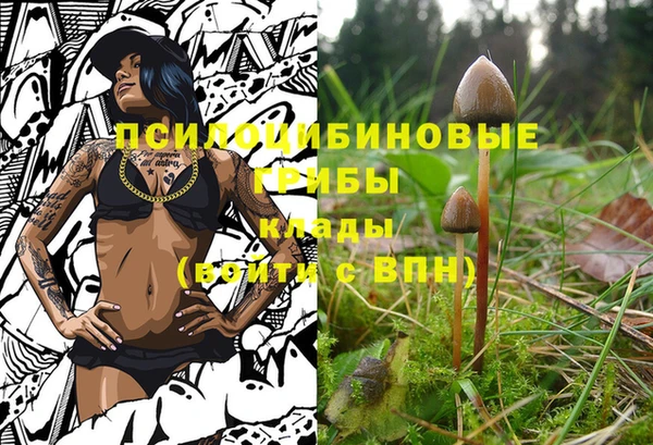 кокс Алзамай